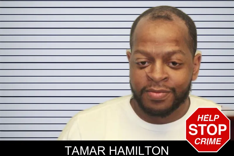 Tamar Hamilton mugshot