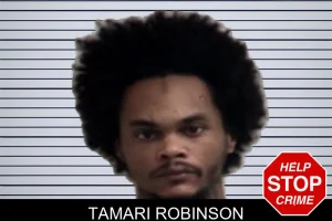 Tamari Robinson mugshot