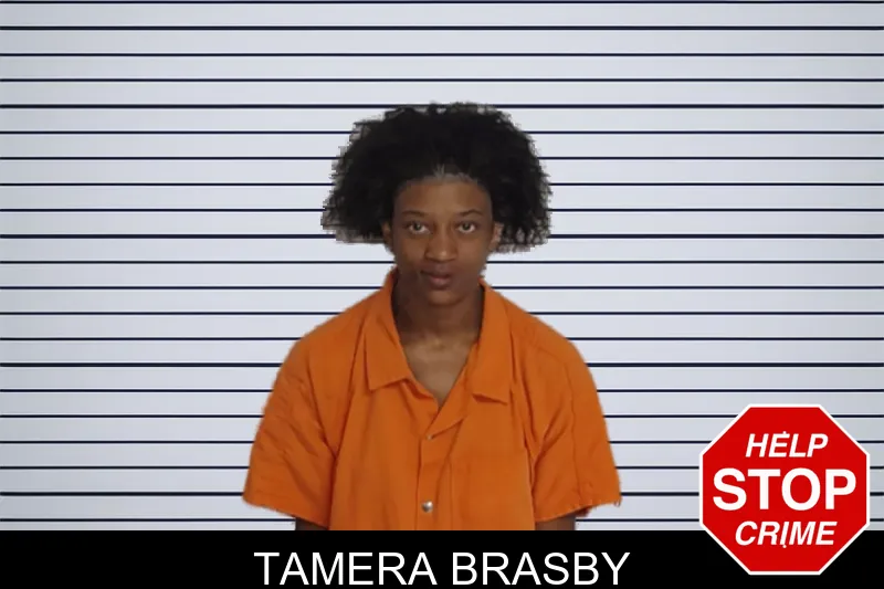 Tamera Brasby mugshot
