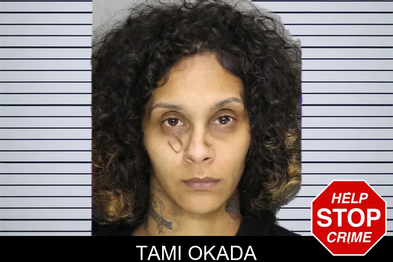 Tami Okada mugshot