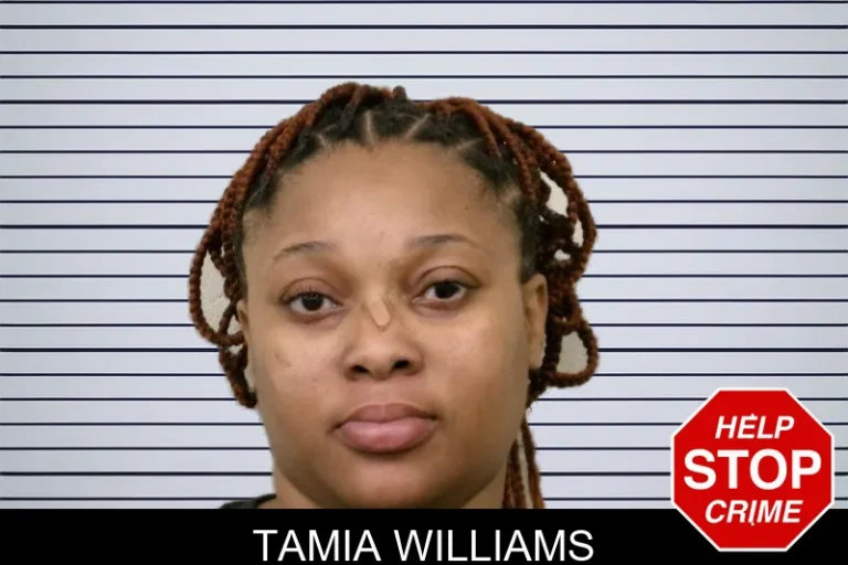 Tamia Williams mugshot – Bulloch County , Georgia Tamia Williams