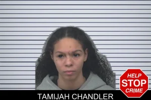 Tamijah Chandler mugshot