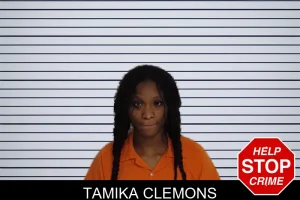 Tamika Clemons mugshot