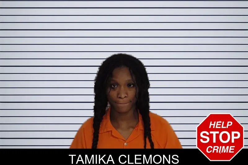 Tamika Clemons mugshot