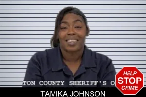 Tamika Johnson mugshot