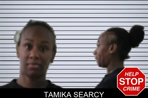 Tamika Searcy mugshot
