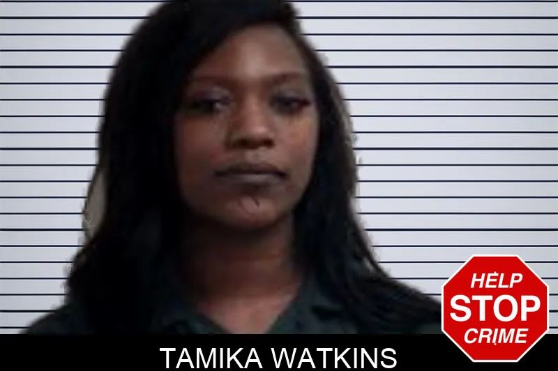 Tamika Watkins mugshot – Henry County , Georgia Tamika Watkins mugshot