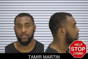 Tamir Martin mugshot
