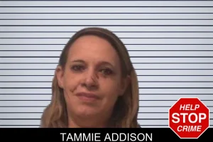 Tammie Addison mugshot