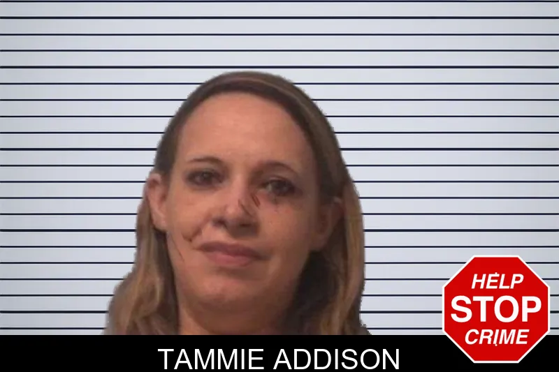 Tammie Addison mugshot