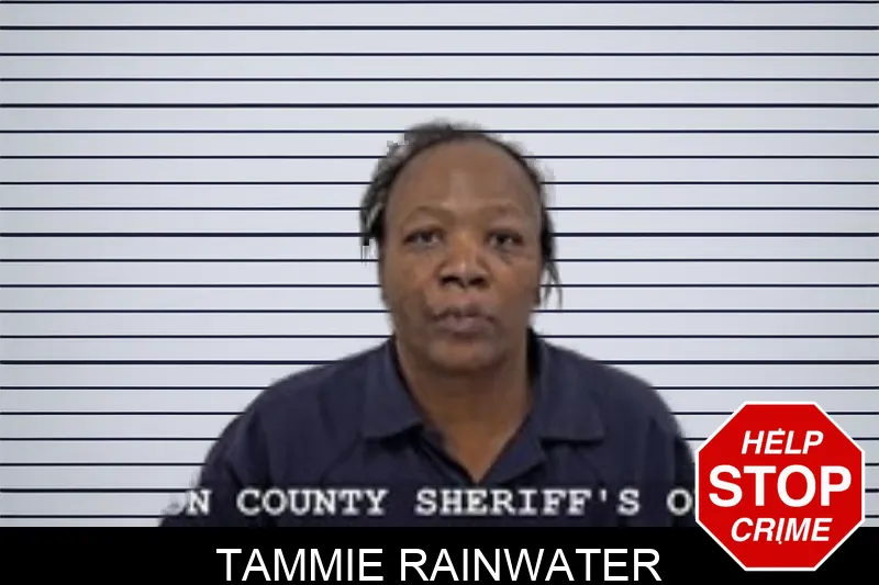 Tammie Rainwater mugshot – Walton County , Georgia Tammie Rainwater mugshot