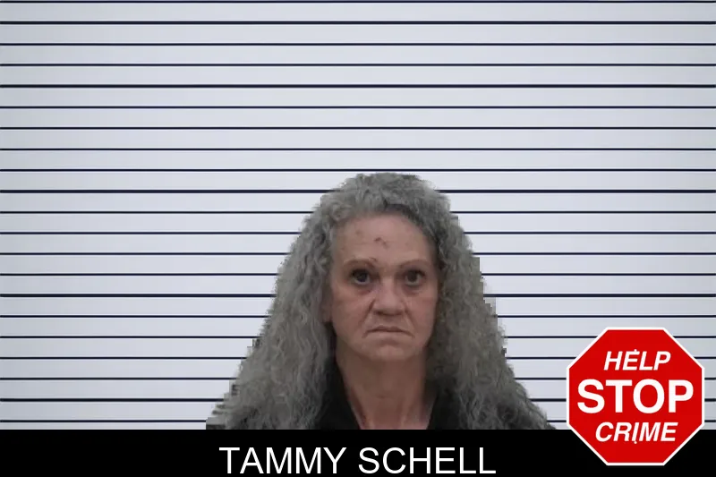 Tammy Schell mugshot