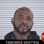 Tamorris Whitten mugshot