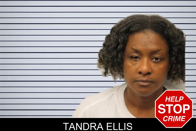Tandra Ellis mugshot – Chatham County , Georgia Tandra Ellis mugshot