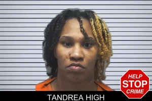 Tandrea High mugshot