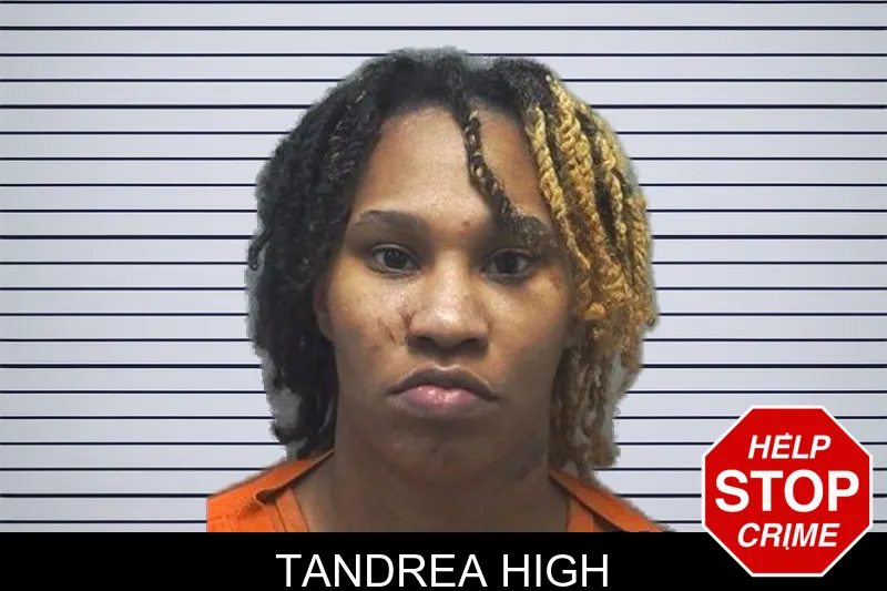 Tandrea High mugshot – Cherokee County , Georgia Tandrea High mugshot
