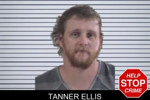 Tanner Ellis mugshot