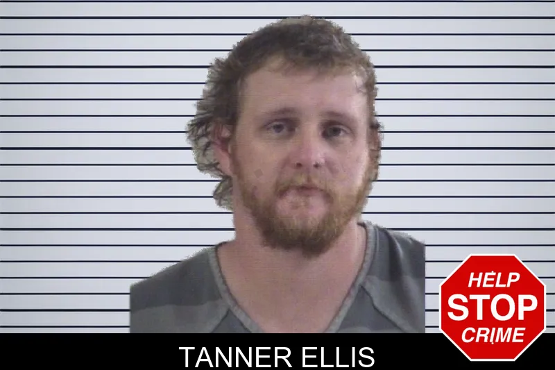 Tanner Ellis mugshot