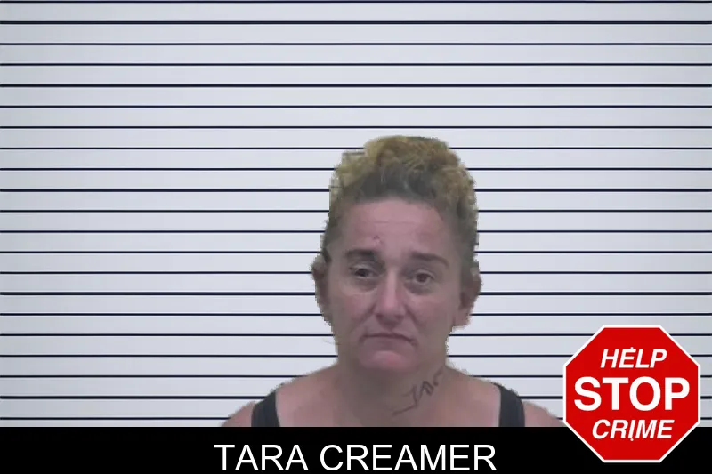 Tara Creamer mugshot – Coffee County , Georgia Tara Creamer mugshot