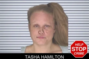 Tasha Hamilton mugshot