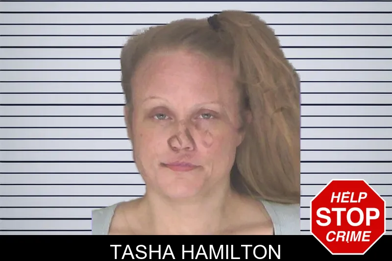 Tasha Hamilton mugshot