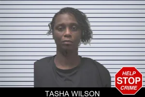 Tasha Wilson mugshot