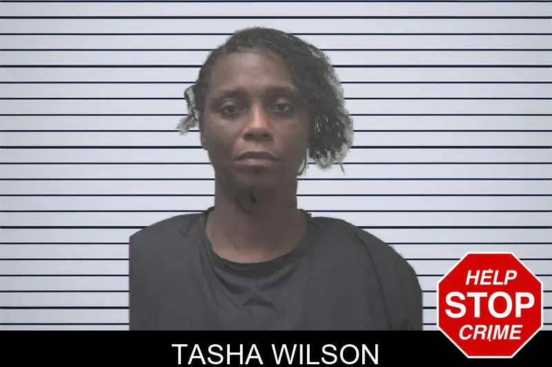 Tasha Wilson mugshot