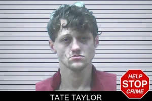 Tate Taylor mugshot