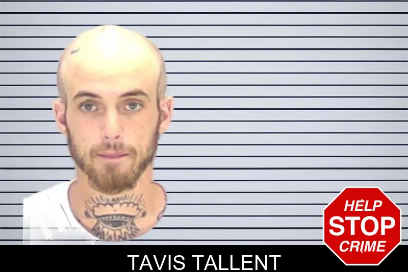 Tavis Tallent mugshot