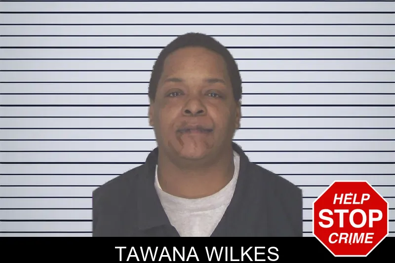 Tawana Wilkes mugshot