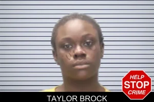 Taylor Brock mugshot