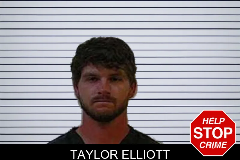 Taylor Elliott mugshot