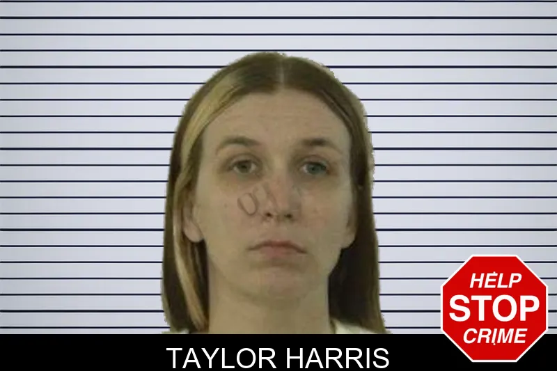 Taylor Harris mugshot