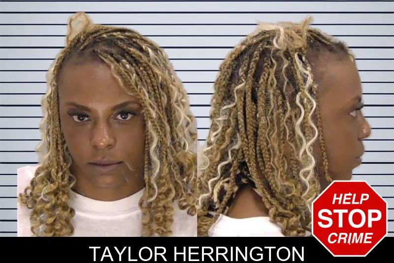 Taylor Herrington mugshot