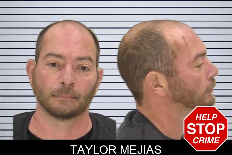 Taylor Mejias mugshot