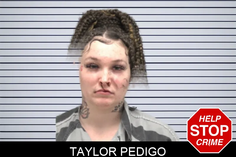 Taylor Pedigo mugshot – Dougherty County , Georgia Taylor Pedigo mugshot