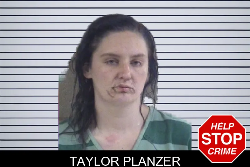 Taylor Planzer mugshot