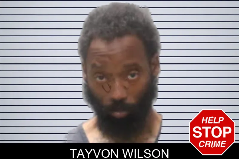 Tayvon Wilson mugshot