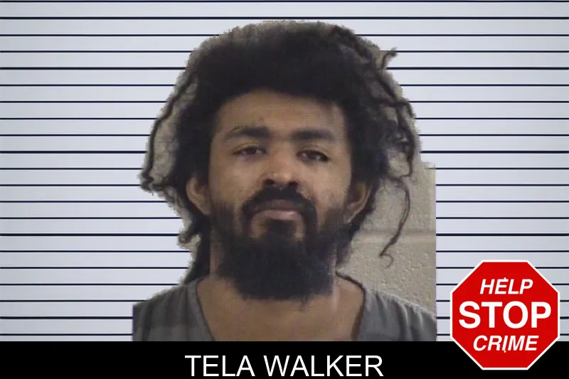 Tela Walker mugshot – Whitfield County , Georgia Tela Walker mugshot