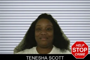 Tenesha Scott mugshot