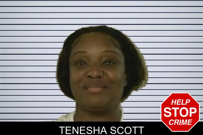 Tenesha Scott mugshot – Liberty County , Georgia Tenesha Scott mugshot