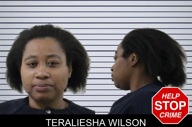 Teraliesha Wilson mugshot – Houston County , Georgia Teraliesha Wilson mugshot