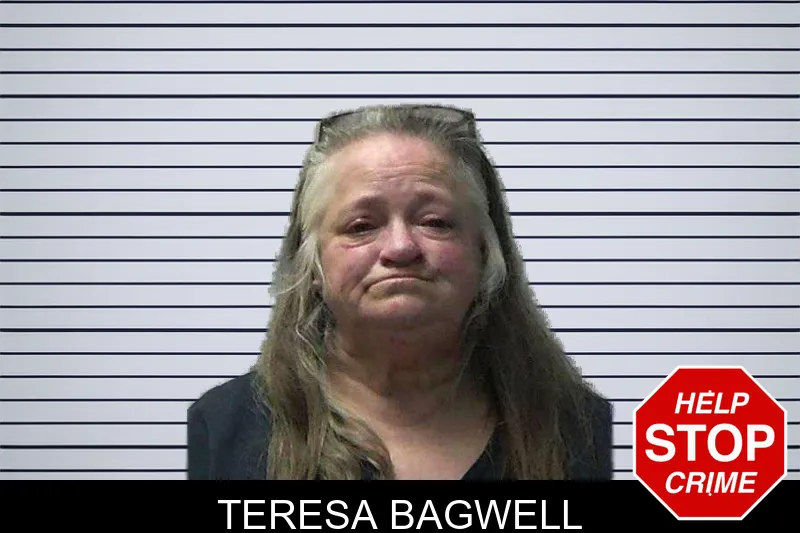 Teresa Bagwell mugshot – Gilmer County , Georgia Teresa Bagwell mugshot