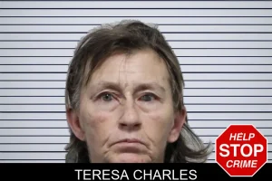 Teresa Charles mugshot