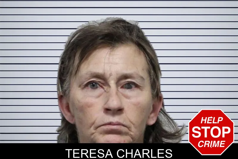 Teresa Charles mugshot