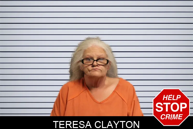 Teresa Clayton mugshot – Lumpkin County , Georgia Teresa Clayton mugshot
