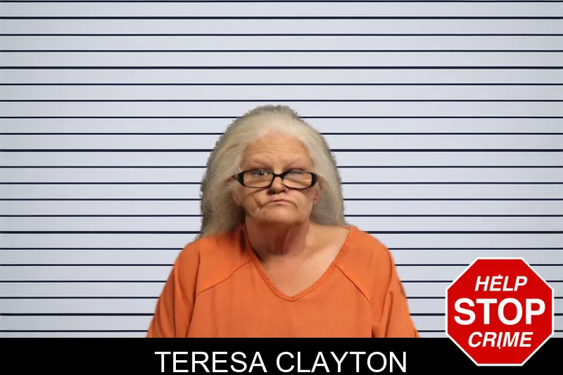 Teresa Clayton mugshot