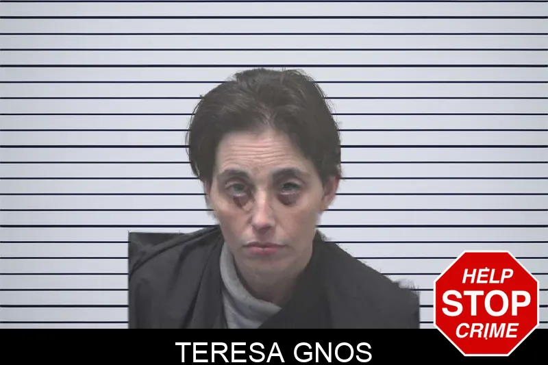 Teresa Gnos mugshot
