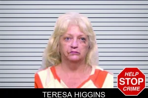 Teresa Higgins mugshot