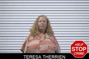 Teresa Therrien mugshot